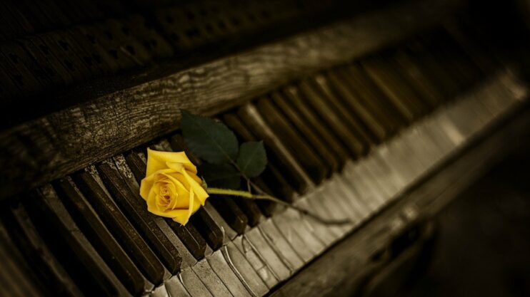 piano oud kapot gele roos