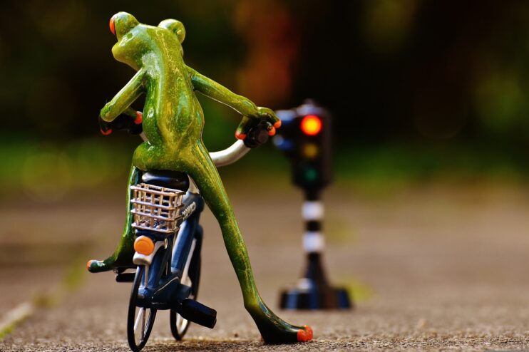 Een kikker rijdt weg op de fiets